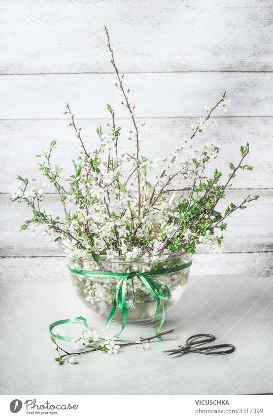 Spring decoration. Cherry blossoms twigs bundles in vase Style Design Living or residing Plant Leaf Blossom Decoration Bouquet Bow bunch cherry Vase April