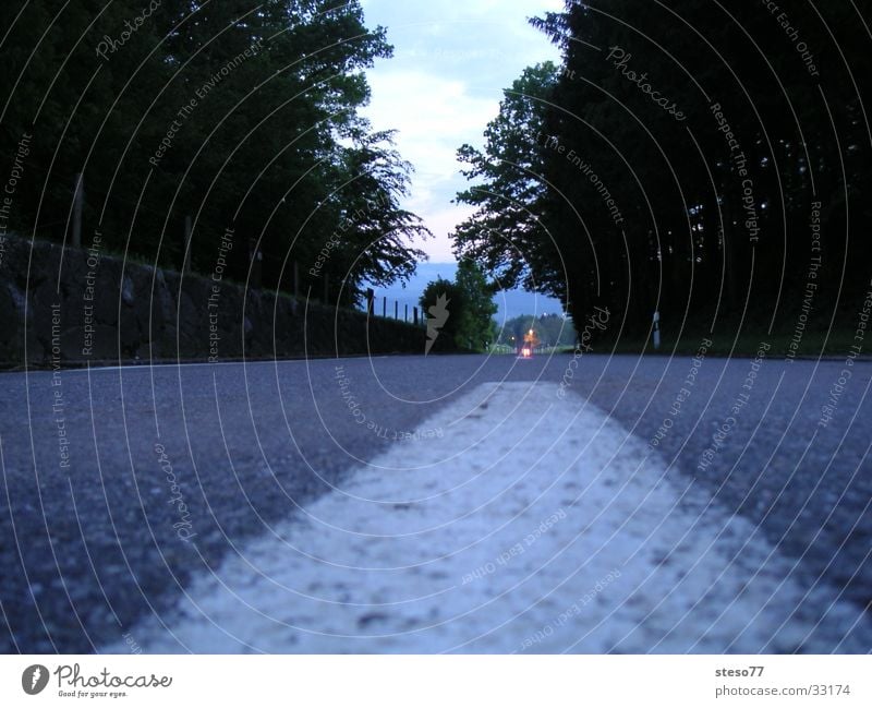 street Night Transport Street Roadway Forest car lane Car-free