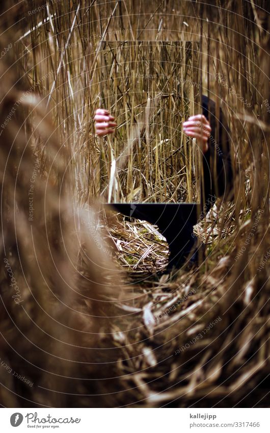 man behind the mirror Human being Masculine Hand Fingers 1 Mirror Crouch Sit Stop To hold on Common Reed Hide Camouflage Mirror image Lanes & trails