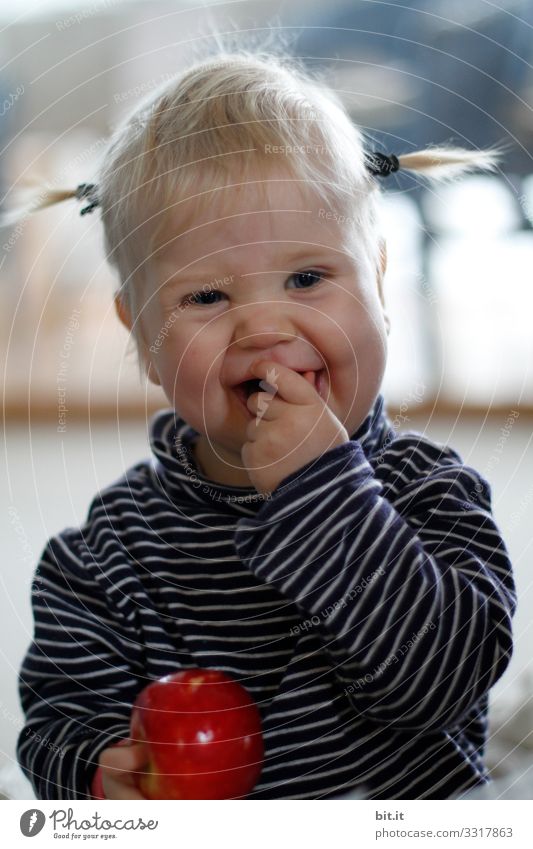 Sweet, cute girl with funny braids, is happy about a red apple, which she holds in her hand. Child with striped shirt laughingly eats a piece of apple which she puts in her mouth.