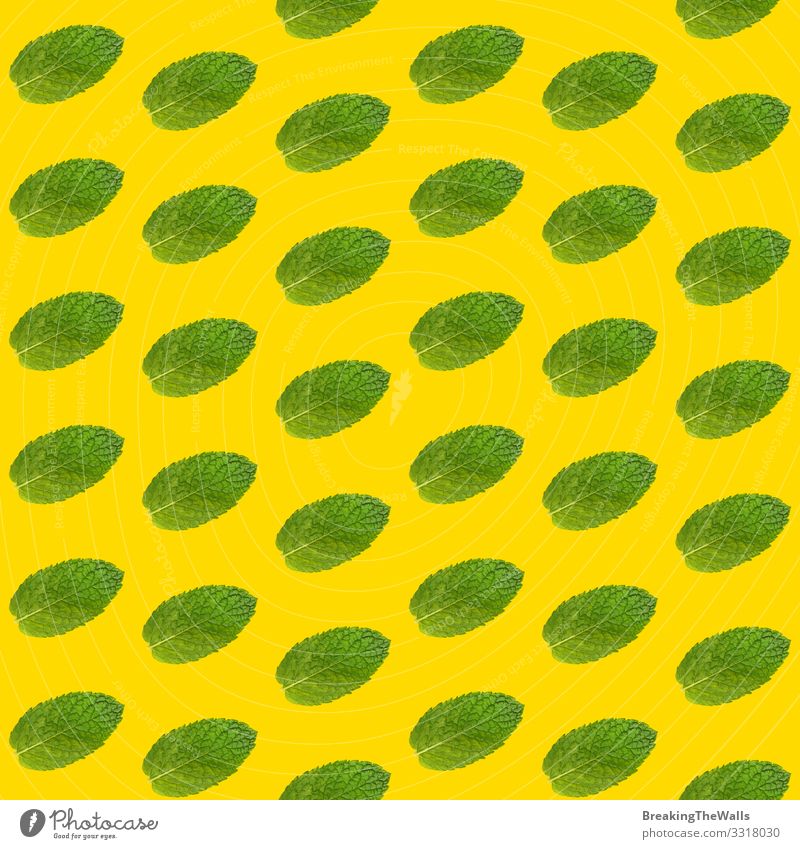 Seamless pattern of mint leaves on yellow Food Herbs and spices Nutrition Eating Organic produce Vegetarian diet Design Alternative medicine Healthy Eating Leaf