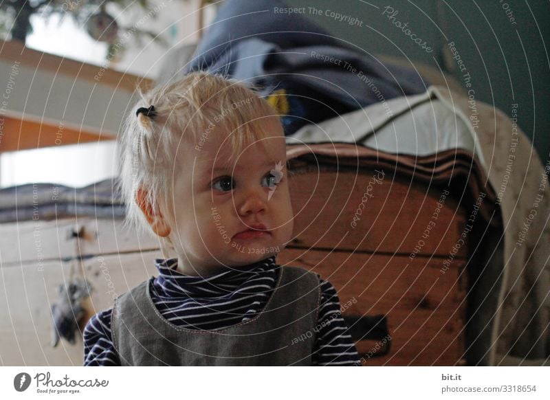 girl Living room Looking look Curiosity chicken Cute Child Infancy Observe natural Toddler Facial expression facial expression monitoring Contentment Emotions