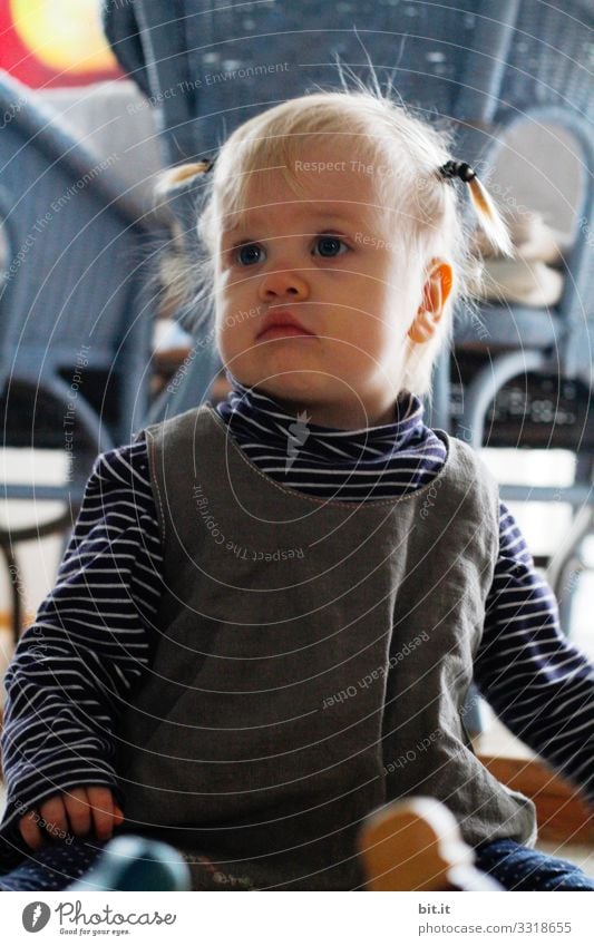 Little girl with rat tails sits on the floor in the living room at home and watches the family. Child stay at home plaits chairs Flat (apartment) cute