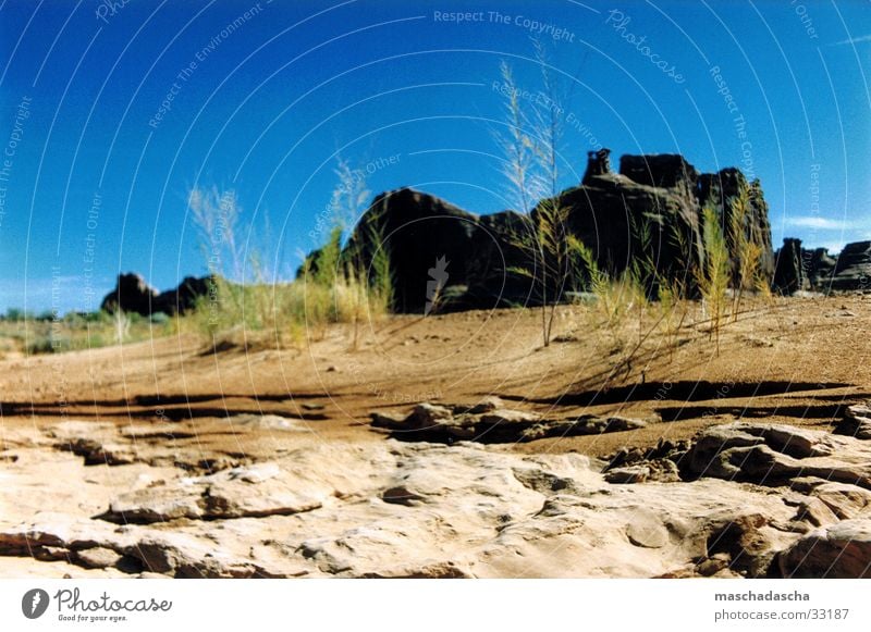 Nevada Grass Steppe Calm Hill Stone Desert Landscape Sky USA Rock formation Deserted Bright background Blue sky Cloudless sky Clear sky Sky blue Drought