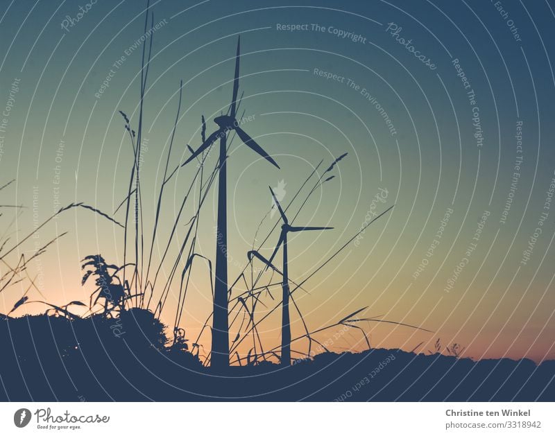 Wind turbines at dusk Wind energy plant Technology Advancement Future Energy industry Renewable energy Environment Nature Cloudless sky Climate Neutral Sunrise