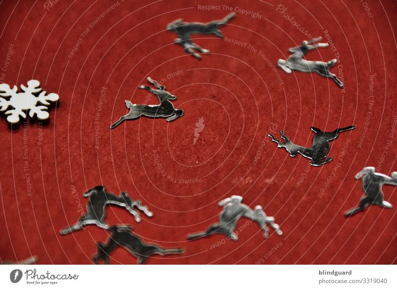 The buck jumps up, the buck jumps far. Why not, it's almost Christmas! Metallic Christmas decorations, randomly distributed on a red tablecloth, completed by a wooden snow crystal.