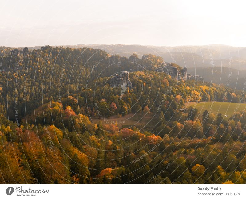 Saxon Switzerland in the morning glow Tourism Adventure Far-off places Expedition Mountain Hiking Environment Nature Landscape Sky Horizon Sun Summer Autumn