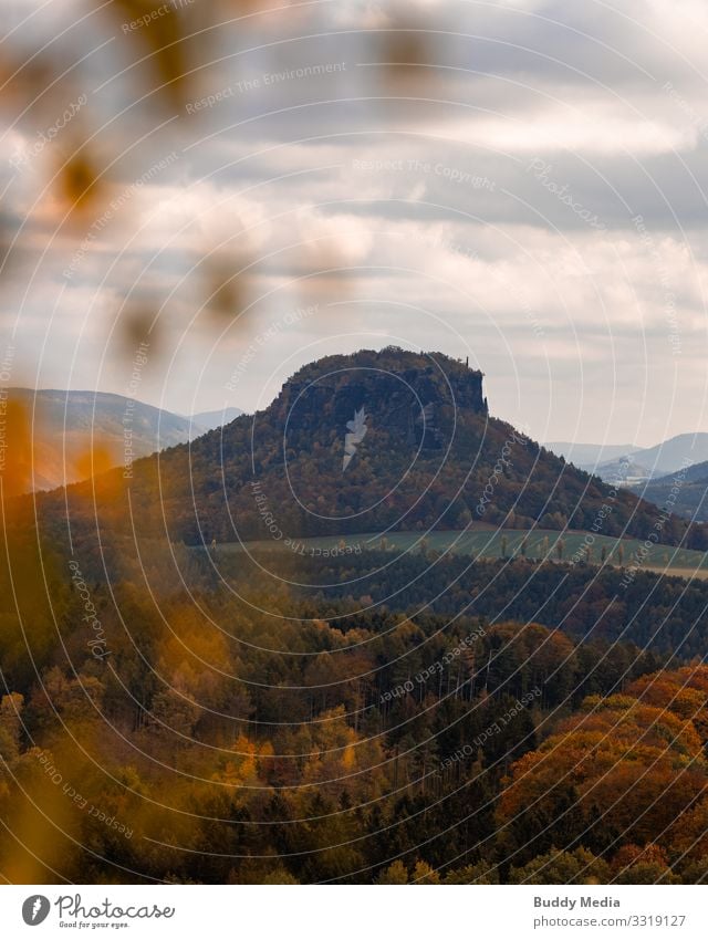 Kleiner Bärenstein, Saxon Switzerland, Lohmen Nature Landscape Sky Clouds Weather Beautiful weather Tree Hill Rock Mountain Table mountain Germany Village