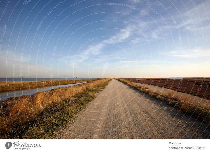 Landscape of Evros river in Greece. Beautiful Vacation & Travel Winter Environment Nature Sky Autumn Grass River Aircraft Bird Natural Blue evros delta