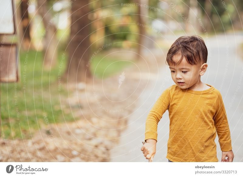 happy young boy playing outdoors in the park Lifestyle Joy Happy Leisure and hobbies Playing Child Boy (child) Man Adults Family & Relations Friendship Infancy