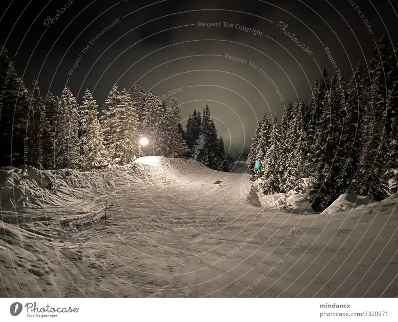 Night slope Winter sports Skiing Skis Snowboard Ski run Night sky Alps Mountain Gray Black White Vacation & Travel Tourism Colour photo Exterior shot