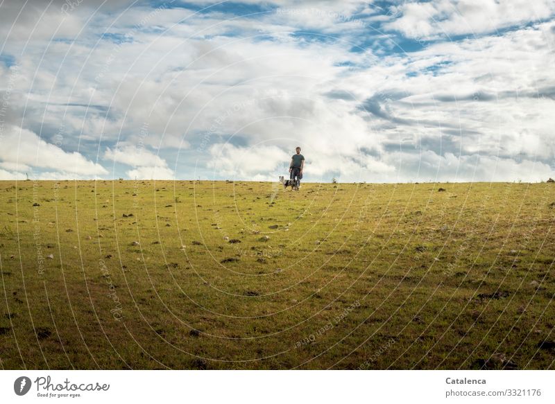 On the horizon you can see dog and master walking Masculine 1 Human being Landscape Plant Animal Sky Clouds Horizon Summer Grass Meadow Willow tree Grassland