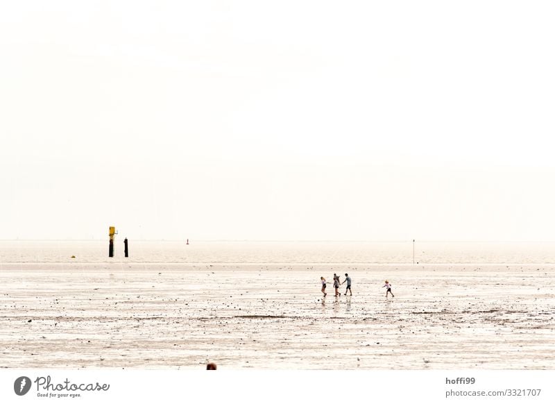 Walk in the mudflats with sun and fog in the morning Human being Family & Relations Friendship Group Sand Water Cloudless sky Sunlight Summer Beautiful weather