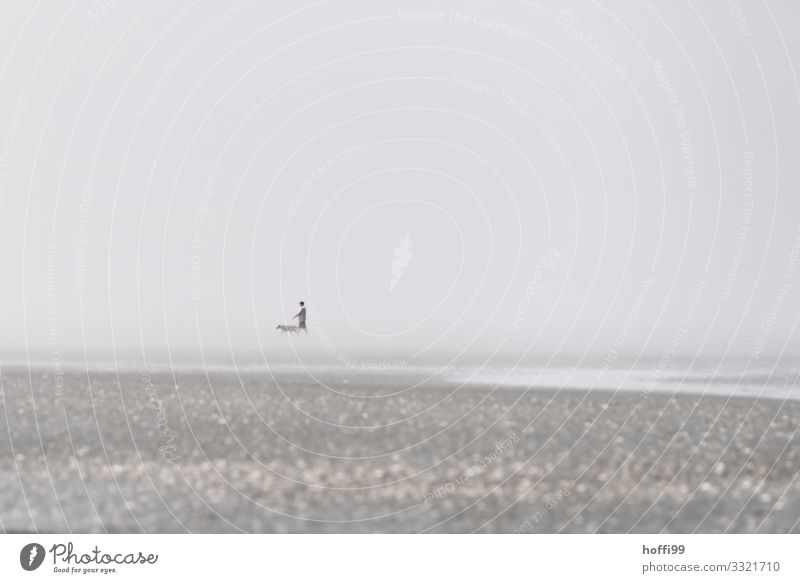 Walk of man and dog in the mudflats in fog Human being 1 Sand Cloudless sky Horizon Summer Beautiful weather Fog Coast Beach North Sea Mud flats