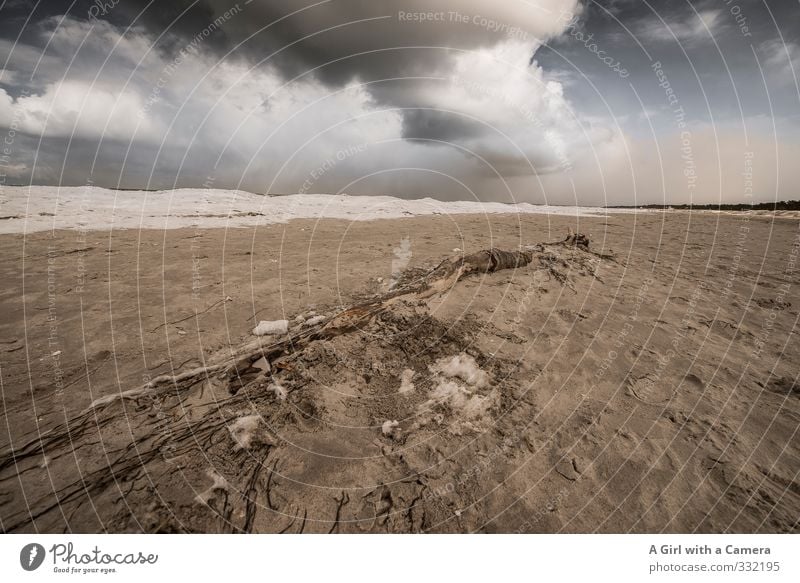 parallels Environment Nature Landscape Winter Bad weather Storm Wind Gale Coast Baltic Sea Threat Sandy beach Beach Flotsam and jetsam Clouds Cloud formation