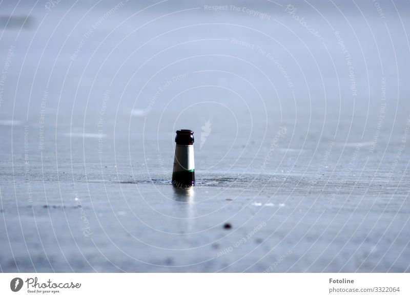 Ice Age | Ice Cooled Environment Nature Elements Water Winter Frost Pond Lake Bright Wet Gray Black Frozen Cold Beer Bottle of beer Neck of a bottle