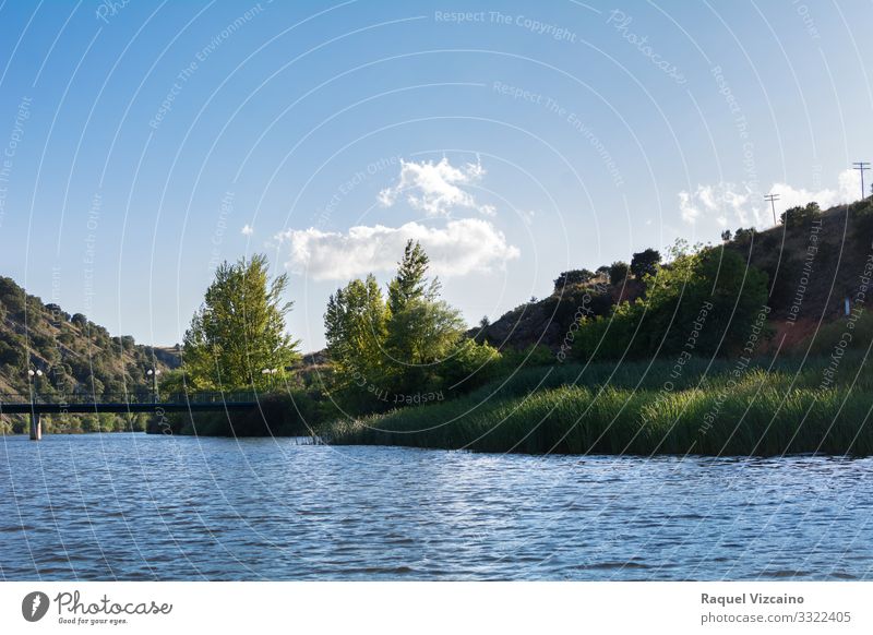 Spring landscape with a great river. Vacation & Travel Summer Sun Nature Landscape Sky Clouds Beautiful weather Tree Bushes Coast Lake River Bridge Natural Blue