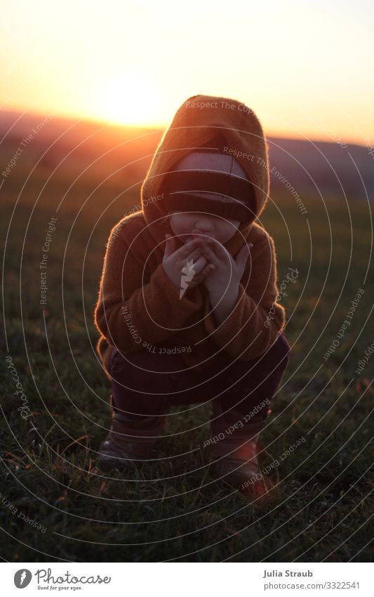 Sunset Meadow Oops Feminine Child Toddler 1 Human being 3 - 8 years Infancy Sunrise Sunlight Winter Beautiful weather Grass Field Wool jacket Cap Boots Kneel