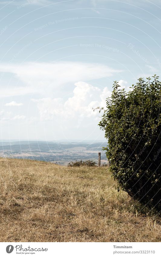 Summer in Burgundy Landscape shrubby Meadow Dry Nature Sky Clouds warm Deserted Grass Pole Hill Light Shadow France