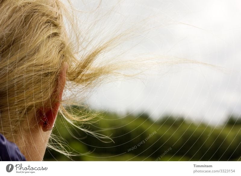 Look how she looks (1) Head Woman Hair and hairstyles Wind Sky Clouds Landscape green Exterior shot Colour photo Blonde Ear Human being