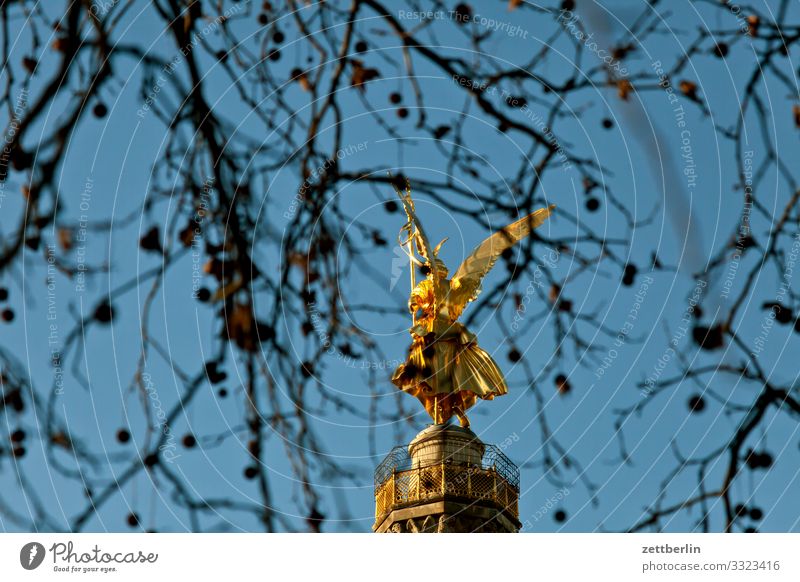 Victory column behind plane tree Tree Berlin leaf gold Monument Germany else Body Figure Gold Goldelse victory statue big star Capital city Sky Heaven Deserted