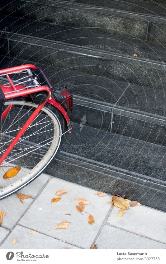 red bike Town Driving Thrifty Sustainability Bicycle Stairs Red Autumn Leaf Yellow Seasons Black Parking Movement Transport City life Street Sidewalk Nature