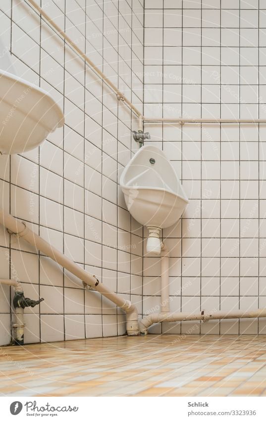 Liquid fertilizer Urinal Architecture White Toilet Manure Tile Room Pottery Bright Pipe Piping Sewage pipes Flush Portrait format Square Urine urea