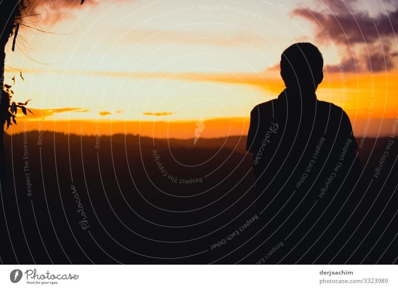 The main thing / see the sunset. The landscape is seen in many colors. A contour of a person is with his back to the picture. Joy Well-being Trip Masculine