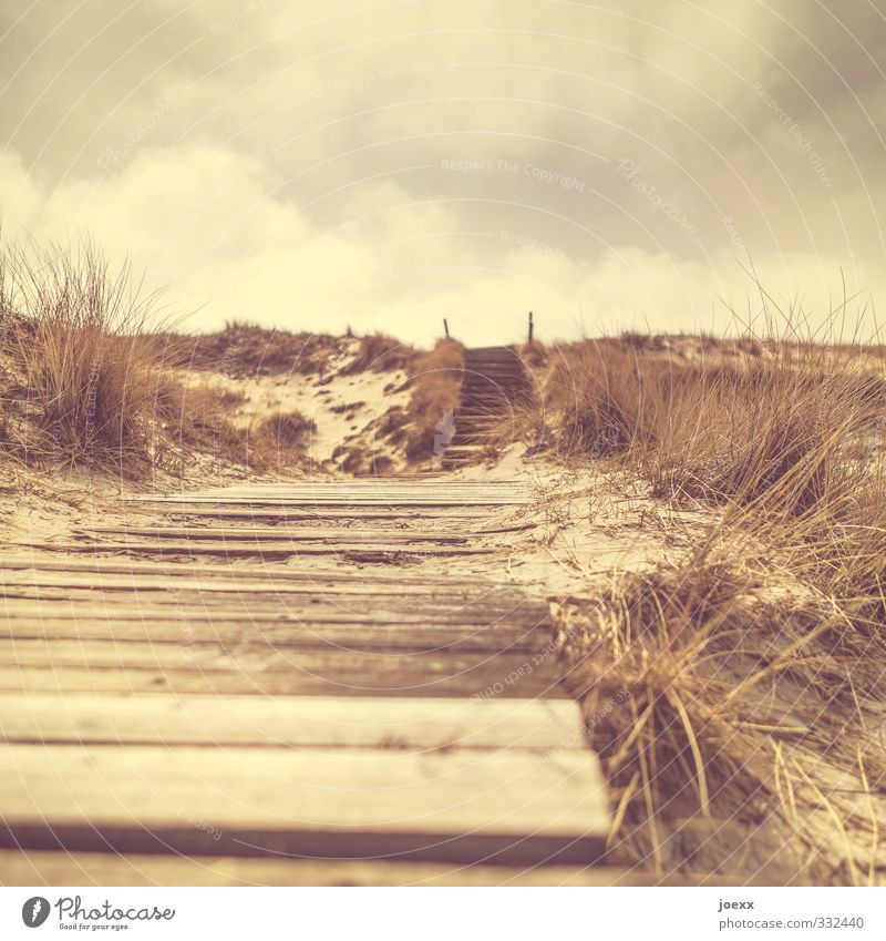 To you Nature Landscape Sky Clouds Hill Island Lanes & trails Brown Yellow Colour photo Subdued colour Exterior shot Deserted Day Shallow depth of field