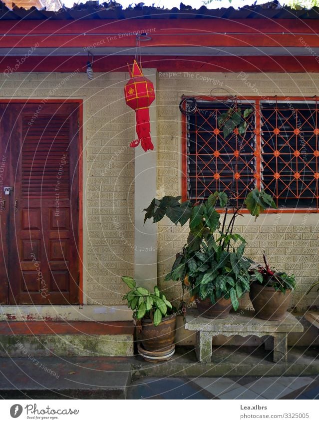 This is how a monk lives Chiangmai Thailand Asia Small Town House (Residential Structure) Temple Wall (barrier) Wall (building) Door Window Tourist Attraction