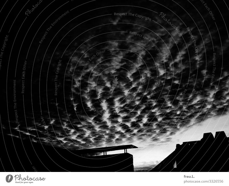 evening sky Sky Sunrise Sunset Hamburg Port City House (Residential Structure) Roof Chimney Exceptional Dark Beautiful Horizon Skylight Black & white photo