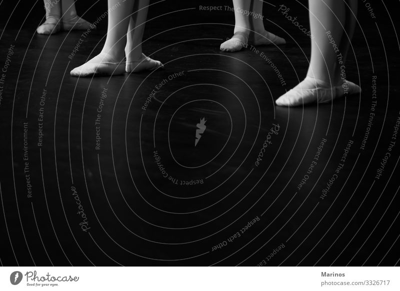 Closeup legs of ballerinas during a performance.Ballet dancers. Elegant Beautiful Dance Woman Adults Art Dancer Footwear Modern Black White performer Classic