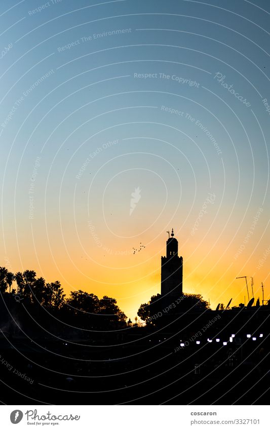 Orange sunset in the tower of the Marrakech. Morocco Vacation & Travel Tourism Trip Summer vacation Night life Culture Nature Landscape Sky Tree Small Town