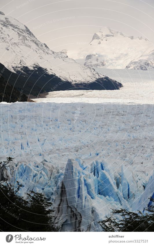 Argentine | Ice Age Environment Nature Landscape Sunlight Frost Snow Rock Mountain Peak Snowcapped peak Glacier Cold Iceberg Glacier ice Glacier tongue Cervasse