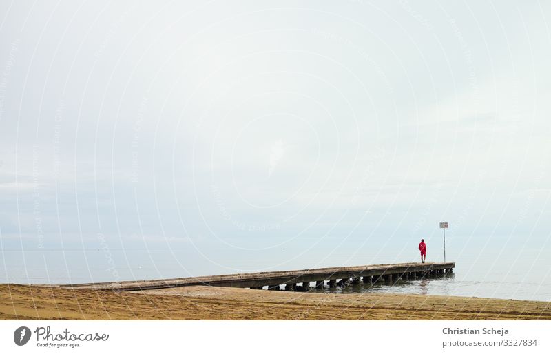 baywatch Summer vacation Beach Lifeguard Swimming & Bathing 1 Human being Observe Boredom Longing Loneliness Safety Protector Subdued colour Exterior shot