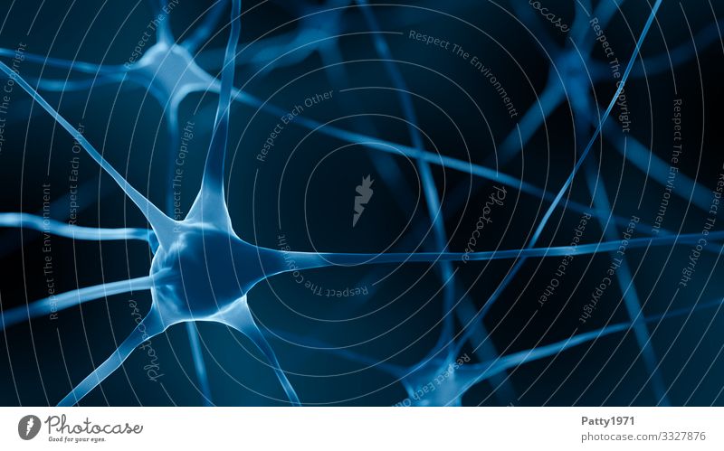 Nerve cells (3D render) Health care Neurology Science & Research Brain and nervous system Healthy Communicate Complex Network Three-dimensional Illustration