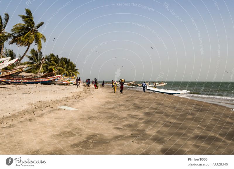 West africa gambia - view of the beach Lifestyle Vacation & Travel Tourism Trip Beach Ocean House (Residential Structure) Work and employment Culture Landscape