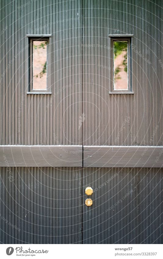 Symmetry | not quite perfect topic day door Wing of a door Front door Subdued colour door window pareidolia Exterior shot Deserted Colour photo Day Entrance