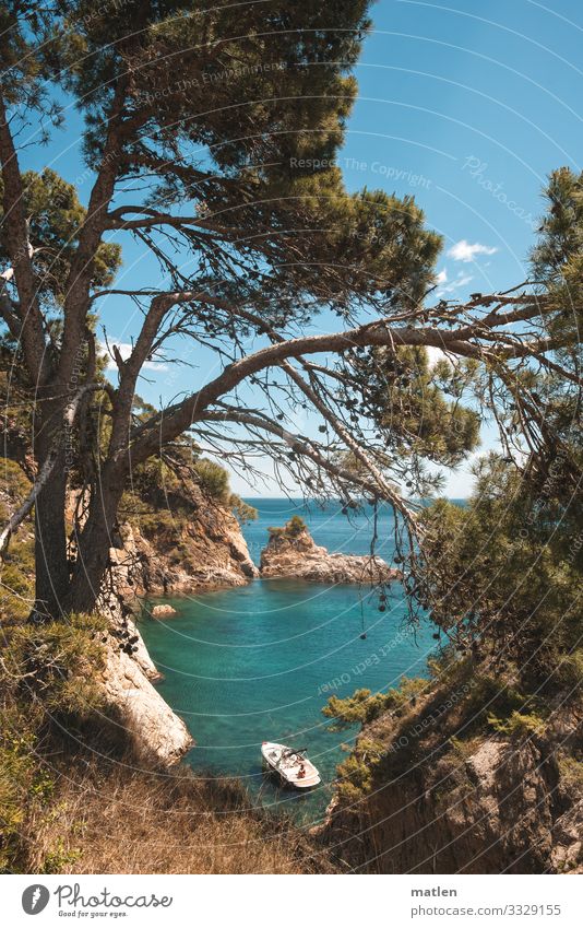 Dream bay for a rainy Sunday Nature Landscape Plant Sky Cloudless sky Horizon Spring Beautiful weather Tree Grass Rock Coast Bay Ocean Island Yacht Blue Brown