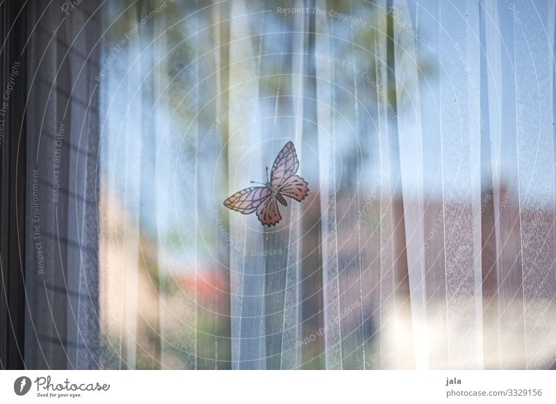 butterfly Flat (apartment) Sky Window Drape Butterfly Mysterious Safety Label Colour photo Exterior shot Deserted Day Light Shadow Reflection