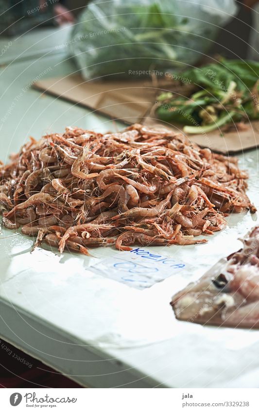 shrimps Food Seafood Shrimps Crustacean Shopping Fresh Healthy Delicious Markets Market stall Fish market Protein Colour photo Exterior shot Deserted Day