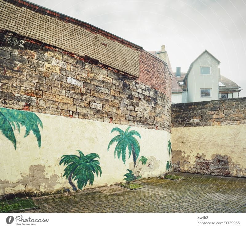 palm house Art Work of art Painting and drawing (object) Clouds Palm tree Palm frond torgau Small Town Downtown Populated House (Residential Structure) Facade