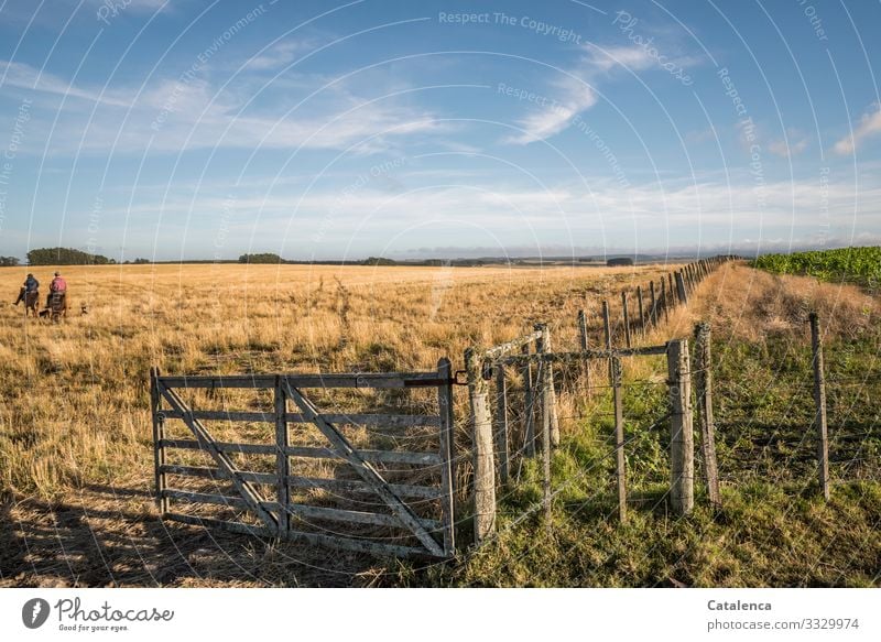 The gate to the pasture is open, two riders move away Ride Work and employment Gaucho Agriculture Forestry Androgynous 2 Human being Landscape Earth Sky Clouds