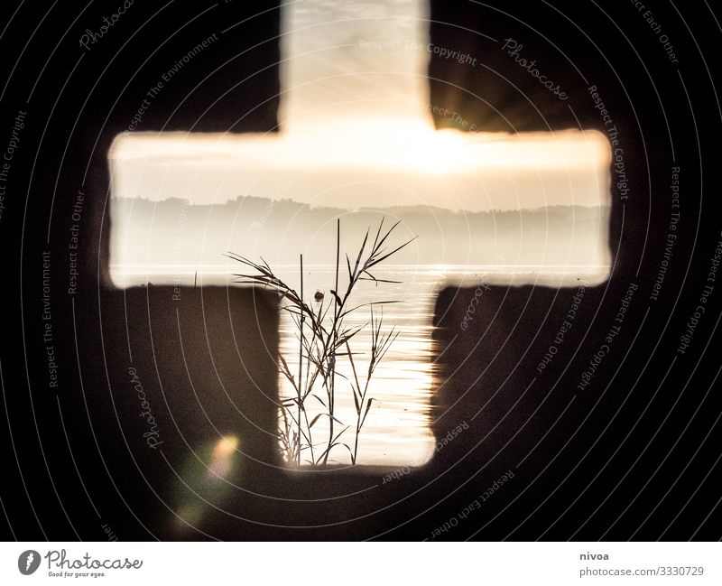 Lake Zurich seen through a cross Waves Winter Art Environment Nature Landscape Plant Climate Beautiful weather Common Reed Lakeside Lake zurich Switzerland