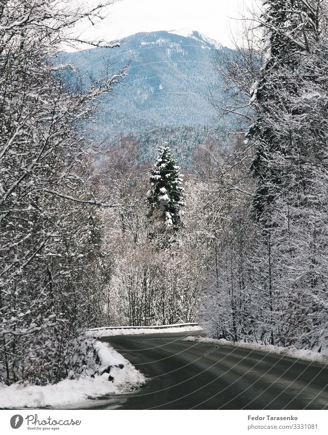 Dahovskaya, on the way to the Caucasian state biosphere reserve Nature Landscape Beautiful weather Ice Frost Snow Plant Tree Tourist Attraction Landmark