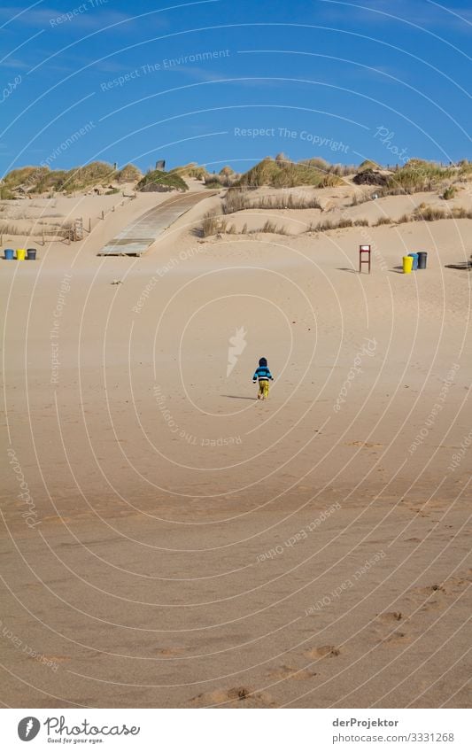 Lonely on the beach in the Alentejo Vacation & Travel Tourism Trip Adventure Far-off places Freedom Summer vacation Beach Hiking Environment Waves Coast Ocean