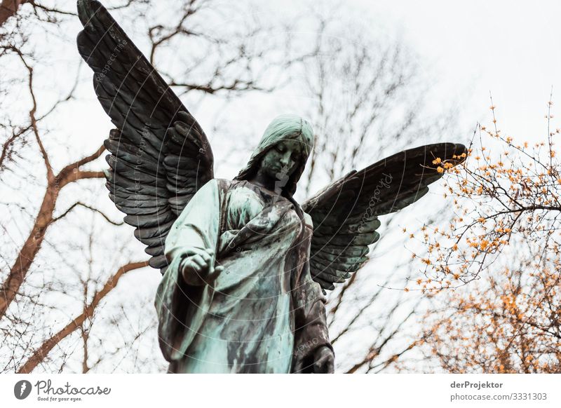 Angel at cemetery Forward Front view Full-length Upper body portrait Deep depth of field Contrast Shadow Light Day Neutral Background Copy Space middle