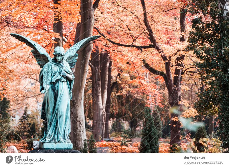 Angels at the artists cemetery in Friedenau Forward Front view Full-length Upper body portrait Deep depth of field Contrast Shadow Light Day Neutral Background