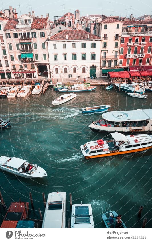 Rush Hour at the Canale grande in Venice Vacation & Travel Tourism Trip Sightseeing City trip Cruise Summer vacation Overpopulated House (Residential Structure)