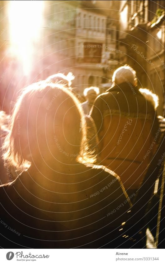 Enlightened Sightseeing Human being Adults Senior citizen Back Crowd of people Bamberg Street Housefront Pedestrian precinct Tourist Bright Brown White Narrow